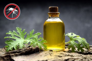 Citronellol: Přírodní repelent proti hmyzu a osvěžující látka v esenciálních olejích