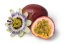 Mučenka jedlá (Passiflora edulis) 8 semen
