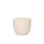 Aoomi Dust Mug 04 80 ml