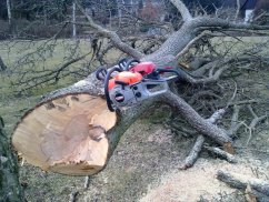 GTM GTC 50 řetězová pila s benzinovým motorem