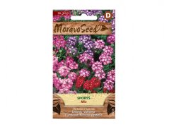 Sporýš - mix (Verbena x hybrida)