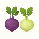 Semena podle doby sklizně – jarní, letní, podzimní i zimní