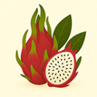 Lohikäärmehedelmä (Pitahaya)