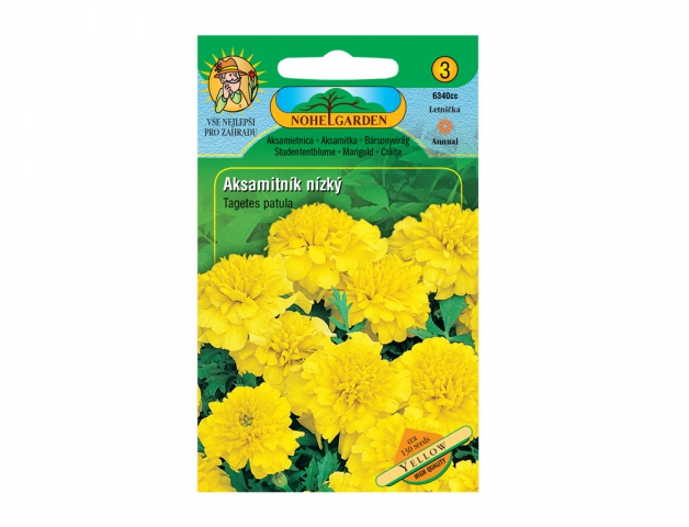 Aksamitník rozkladitý Yellow
