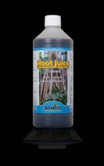 Hnědá plastová lahev Root Juice 1L od BioBizz s bílým uzávěrem, obsahuje organický stimulátor kořenů pro zdravý růst rostlin Hnědá plastová lahev Root Juice 1L od BioBizz s bílým uzávěrem, obsahuje organický stimulátor kořenů pro zdravý růst rostlin