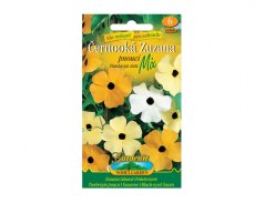 Černooká Zuzana - mix (Thunbergia alata)
