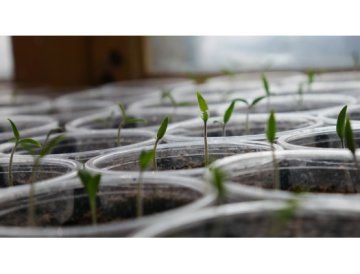 Calendrier de jardin - mars