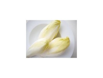 Légumes insolites - l'endive