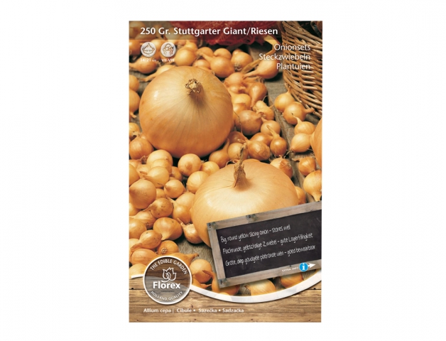 Cibule s.STUTTGARTER GIANT/RIESEN 250g/žl/FL