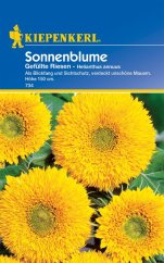 Girasol Gefüllte Riesen - paquete de semillas con fondo azul y girasoles amarillos dobles con pétalos densos