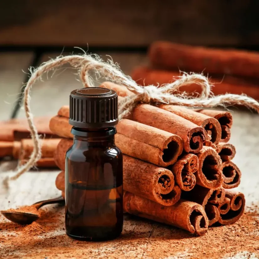 BIO Skořice - 100% přírodní esenciální olej (10 ml)