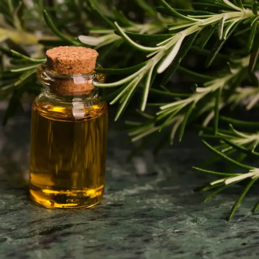 BIO Rozmarýn - 100% přírodní esenciální olej (10 ml)