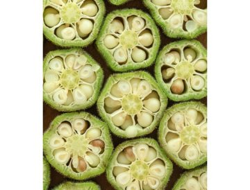 Matkallblomma ätbar eller okra