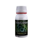 Agrobacterias