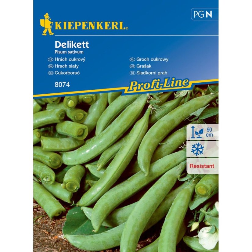 Hrách cukrový Delikett