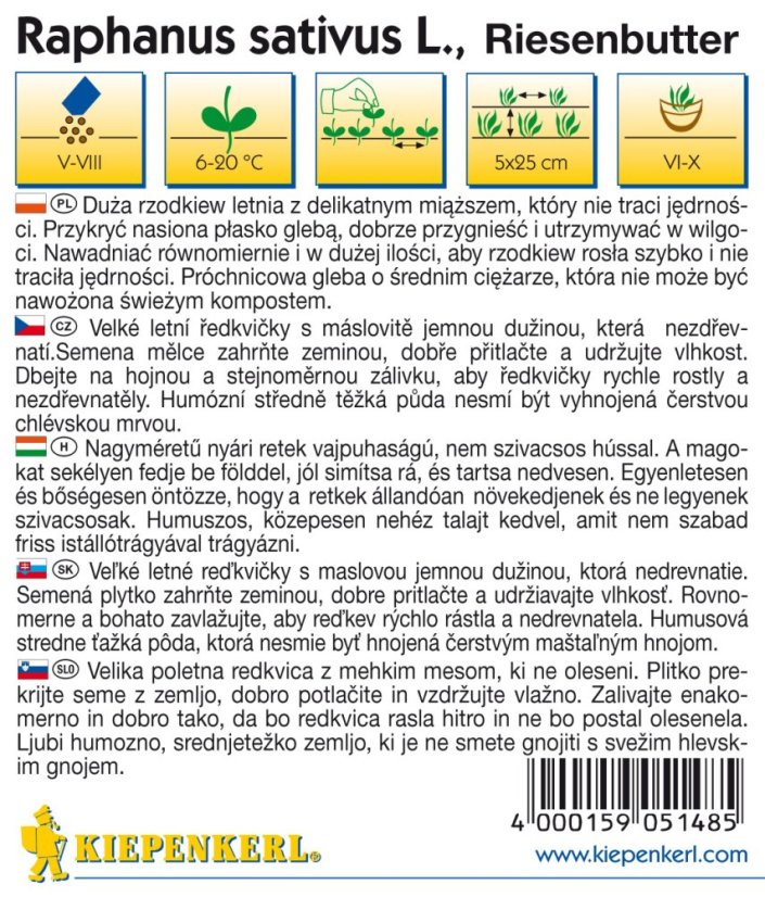 Detailní informace o pěstování ředkvičky obrovské máslové s ikonami podmínek růstu a vícejazyčným návodem na bílém pozadí