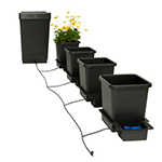 Autopot - Growcity