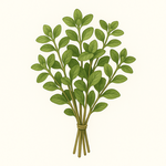 Semena podle doby sklizně – jarní, letní, podzimní i zimní