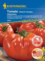 Kiepenkerl Rajče Gigantomo