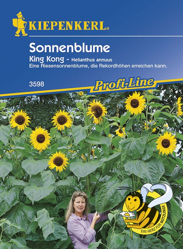 Balení semen slunečnice King Kong od značky Kiepenkerl s modrou etiketou, žlutými slunečnicemi a ženou v zahradě