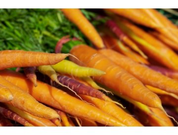 Carota