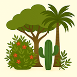 Populární exotická semena – eukalyptus, banánovník, palma a další