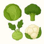 Semena podle doby sklizně – jarní, letní, podzimní i zimní