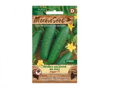 Okurka salátová na pole Jogger F1