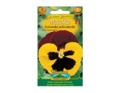 Maceška červeno-žlutá F1