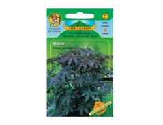 Ricinus communis - Skočec obecný