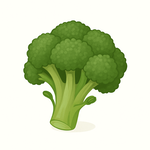 Semena podle doby sklizně – jarní, letní, podzimní i zimní