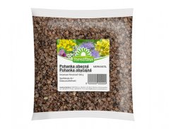 Semena LUPINA SEMÍNKO 500g