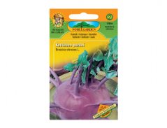 Kedluben pozdní Cabbage vegetables