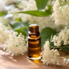 BIO Tužebník - 100% přírodní infusovaný olej (10 ml)