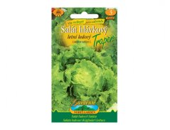 Salát hlávkový letní ledový Traper