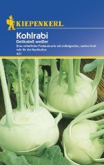 Samenpackung Kohlrabi Delikateß weiß von Kiepenkerl mit blauem Hintergrund und Fotografie frischer grüner Kohlrabi mit runden Knollen und grünen Blättern