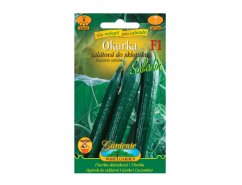 Okurka salátová do skleníku Saladin F1