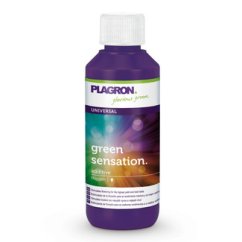 Violetti Plagron Green Sensation 100ml -muovipullo valkoisella korkilla, värigradientti vihreästä violettiin, yleinen stimulaattori