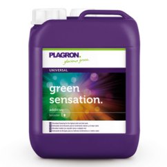 Fialový plastový kanystr Plagron Green Sensation 5L s bílým uzávěrem a barevným štítkem zobrazujícím zelené a fialové bublinky na černém pozadí