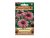 Farbige Samenverpackung Purpur-Sonnenhut Moravoseed mit Fotos von rosa Echinacea-Blüten und grünem Logo auf weißem Hintergrund