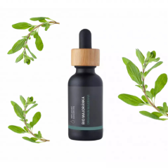 Piccola bottiglia di vetro scuro con tappo in legno contenente olio essenziale biologico di maggiorana, circondato da rametti verdi di maggiorana fresca Piccola bottiglia di vetro scuro con tappo in legno contenente olio essenziale biologico di maggiorana, circondato da rametti verdi di maggiorana fresca
