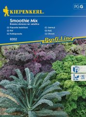 Упаковка насіння капусти кучерявої Smoothie Mix Kiepenkerl з кольоровим листям - фіолетова, зелена та синьо-зелена капуста на садовому грядці