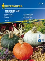 Hokkaido Mix ukrasne tikve u različitim bojama - narančasta, zelena i bijelo-siva tikva s kandžastim stabljikama na slami s ljubičastim cvjetovima Hokkaido Mix ukrasne tikve u različitim bojama - narančasta, zelena i bijelo-siva tikva s kandžastim stabljikama na slami s ljubičastim cvjetovima