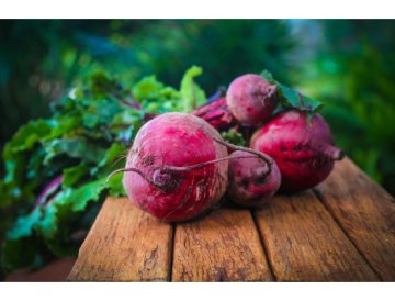 Rote Bete