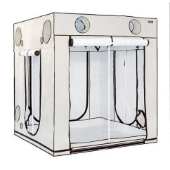 Bílý pěstební stan Homebox Ambient Q200+ s rozměry 200x200x220cm, kovová konstrukce s textilním pokrytím, ventilační otvory a zipové vstupy Bílý pěstební stan Homebox Ambient Q200+ s rozměry 200x200x220cm, kovová konstrukce s textilním pokrytím, ventilační otvory a zipové vstupy