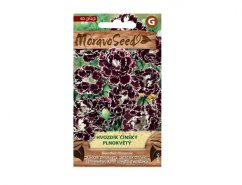 Zaaipakket Chinese anjers vol van MoravoSeed met paarse bloemen met witte rand op groene verpakking met productnaam