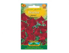 Sweet pea red climbing seeds packet with colorful packaging showing red flowers, green leaves and text Sweet Pea Climbing from Gardenie Sweet pea red climbing seeds packet with colorful packaging showing red flowers, green leaves and text Sweet Pea Climbing from Gardenie