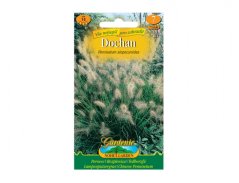 Pennisetum alopecuroides - Dochan psárkovitý