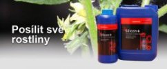 Blauwe plastic fles Essential Silicon+ 1L met rode dop naast groene planten, minerale supplement voor plantenvoeding Blauwe plastic fles Essential Silicon+ 1L met rode dop naast groene planten, minerale supplement voor plantenvoeding