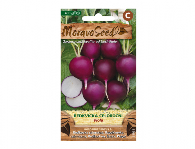 Ředkvička celoroční Viola
